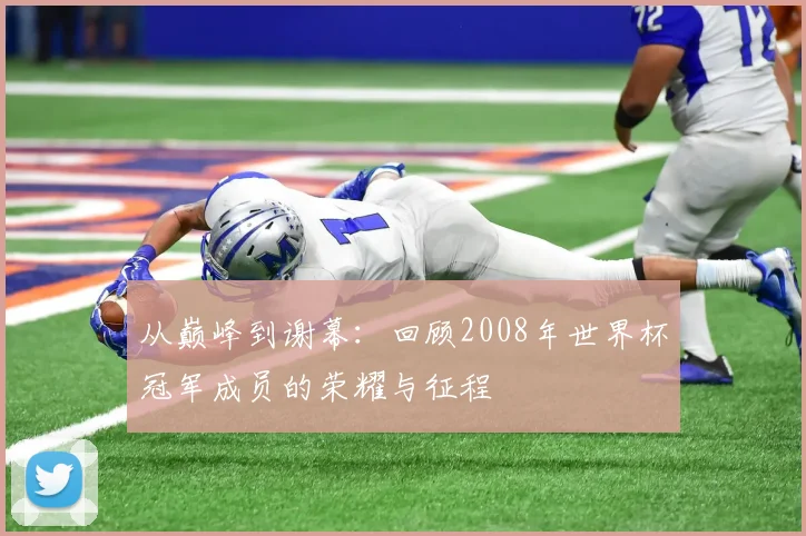 从巅峰到谢幕：回顾2008年世界杯冠军成员的荣耀与征程