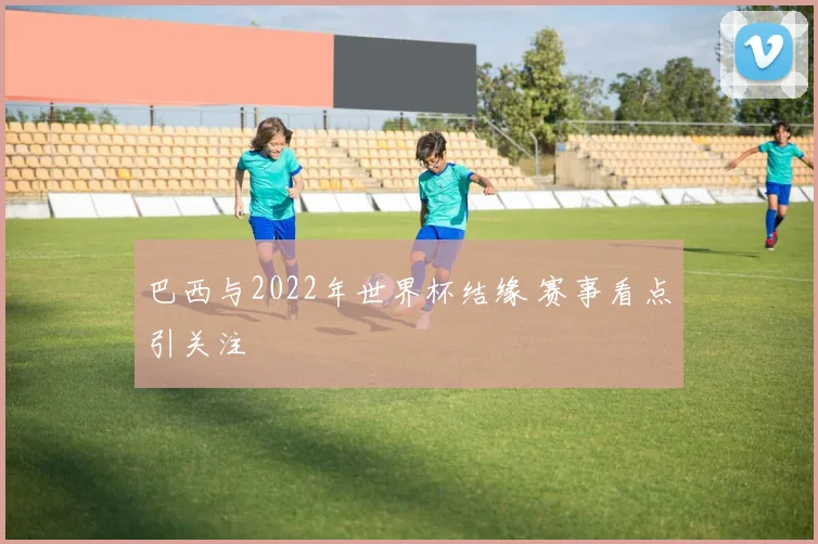 巴西与2022年世界杯结缘 赛事看点引关注